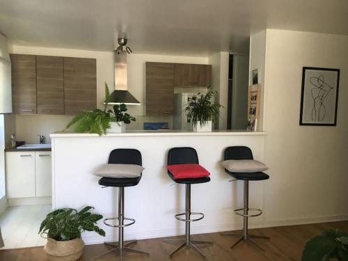 Appartement 55 m2 le chesnay