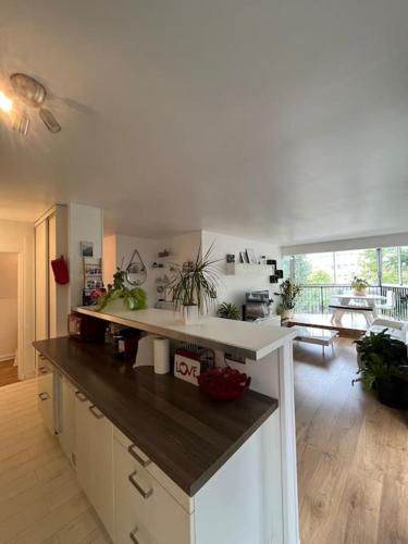 Appartement 55 m2 le chesnay