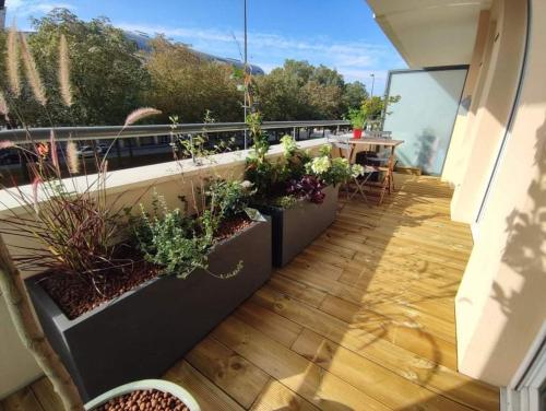 Appartement 55m2 centre ville Orléans