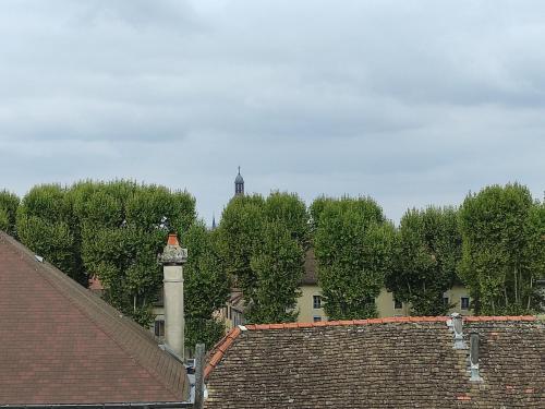 Appartement 6 pers - Proche ile St Laurent à Chalon sur Saone
