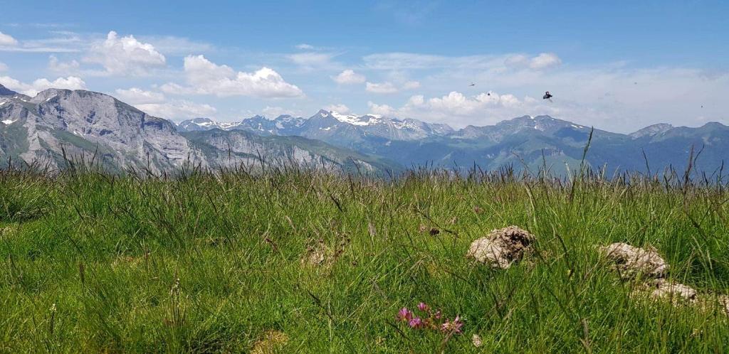 Appartement 7 pers avec jardin 70063 05220 Le Monêtier-les-Bains