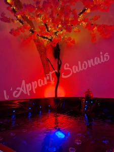 Appartement 70m2 avec jacuzzi privatif