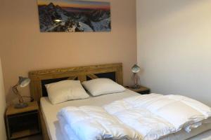 APPARTEMENT 8 personnes LODGES A505