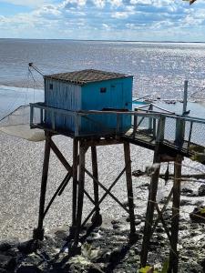 appartement 96, les charmilles