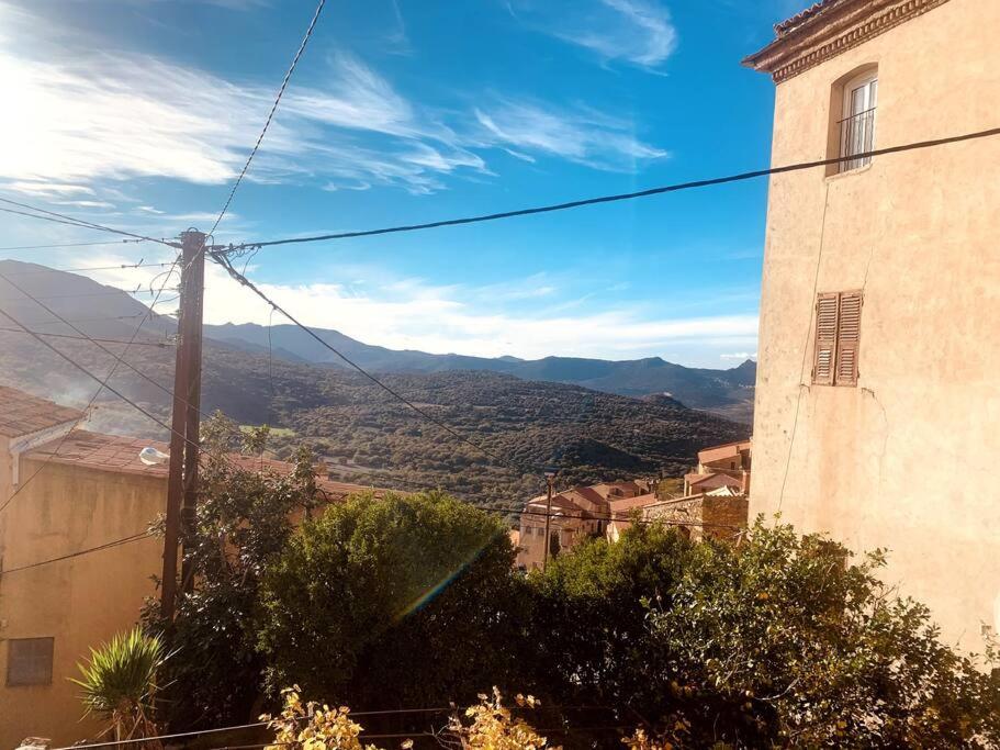 Appartement à 10 min de la mer Quartier Macchioni, 20226 Belgodère