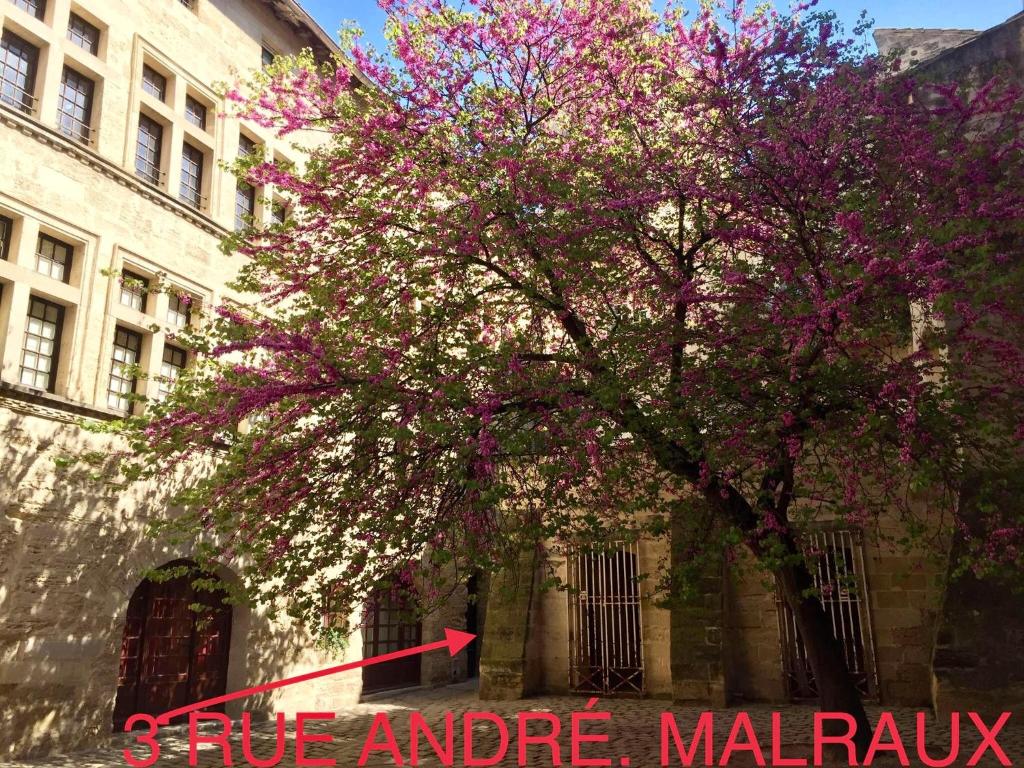 appartement a 50 m de la place aux herbes 3 Rue André Malraux, 30700 Uzès