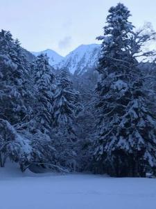 Appartement à la montagne