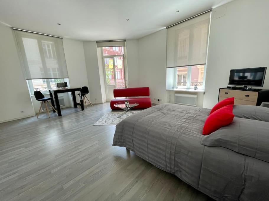Appartement A MULHOUSE en pleine zone piétonne 53 Rue du Sauvage, 68100 Mulhouse