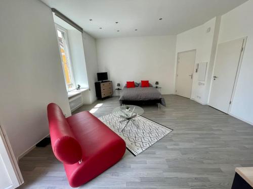 Appartement A MULHOUSE en pleine zone piétonne