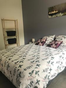 appartement à Tarascon sur Ariège le Sabart