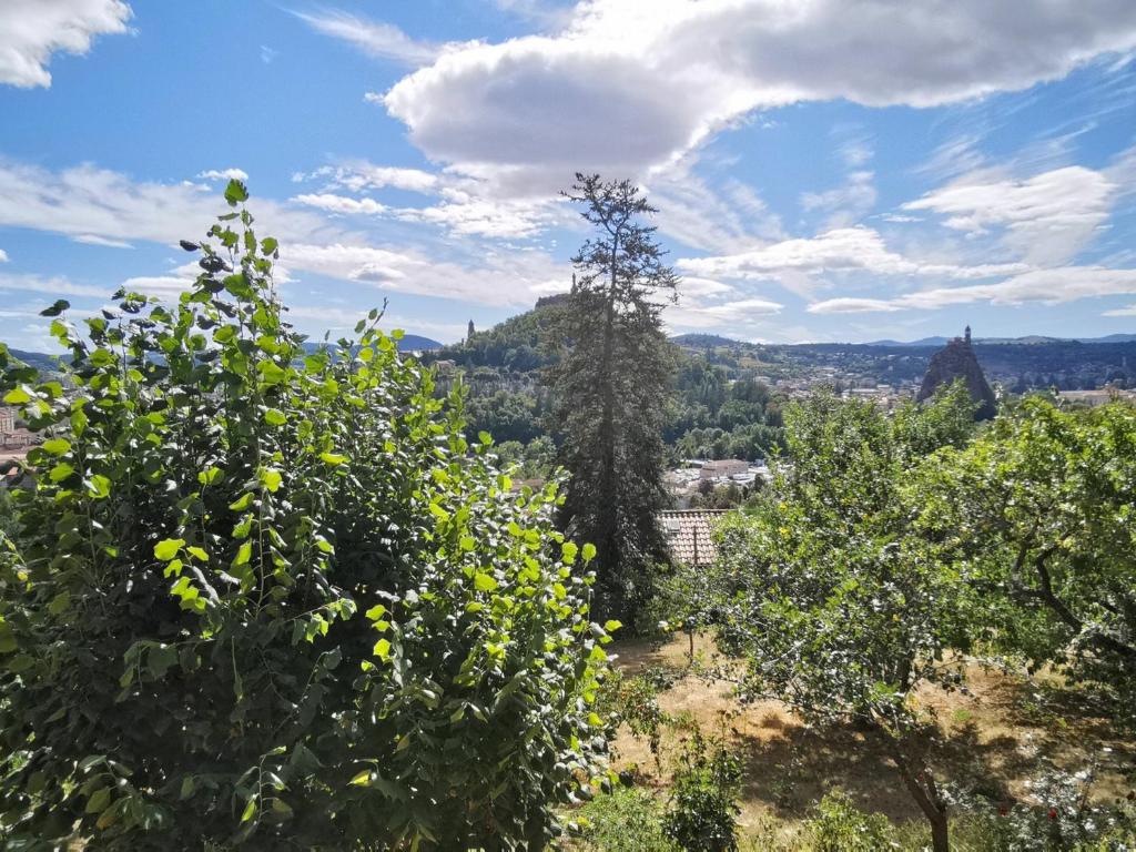 Appartement Appartement Aiguilhe, 4 pièces, 6 personnes - FR-1-582-45 15 Chemin du Coteau 43000 Aiguilhe