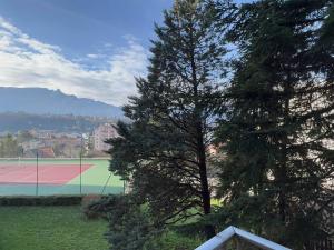 Appartement Aix-les-Bains, 2 pièces, 2 personnes - FR-1-555-78