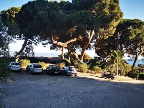 Appartement Ajaccio Sanguinaires