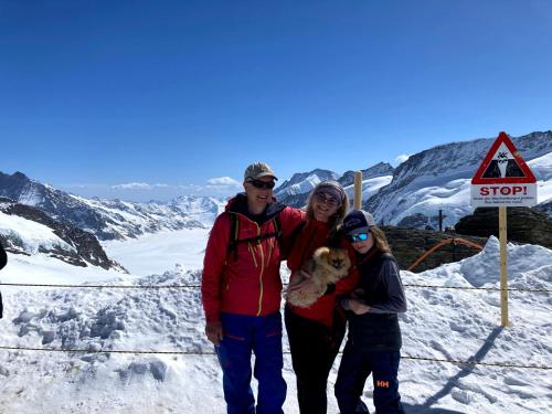 Appartement Alpine Affair