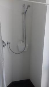 Appartement Altstadt