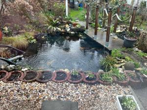 Appartement am Teich