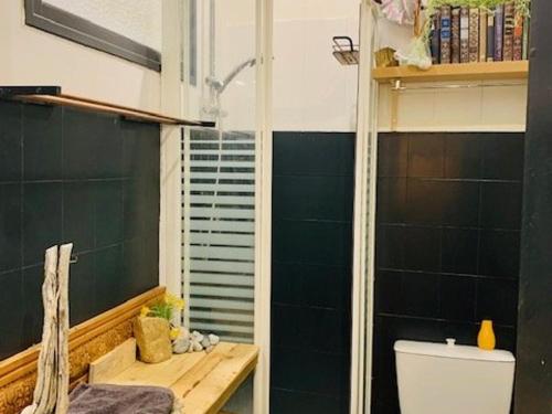 Appartement Amélie-les-Bains-Palalda, 1 pièce, 2 personnes - FR-1-703-71