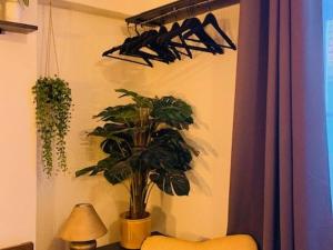 Appartement Amélie-les-Bains-Palalda, 1 pièce, 2 personnes - FR-1-703-71