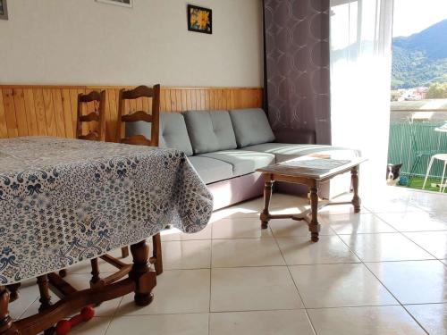 Appartement Amélie-les-Bains-Palalda, 2 pièces, 2 personnes - FR-1-703-134