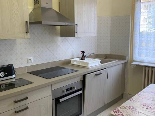 Appartement Amélie-les-Bains-Palalda, 2 pièces, 2 personnes - FR-1-703-148