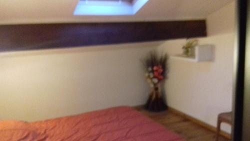 Appartement Anatole France