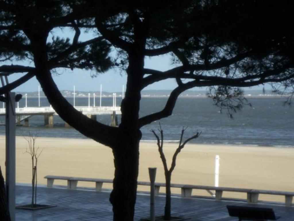 Appartement Arcachon, 3 pièces, 4 personnes - FR-1-374-71 6 Bd Veyrier Montagnieres - Rés. Privilege Bat. A 1Er Ét Appt 13 Pkg 13 -, 33120 Arcachon