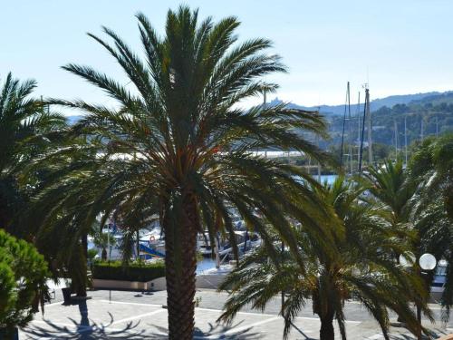 Appartement Argelès-sur-Mer, 2 pièces, 4 personnes - FR-1-225-612