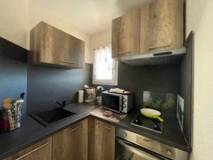 Appartement Argelès-sur-Mer, 2 pièces, 4 personnes - FR-1-388-212