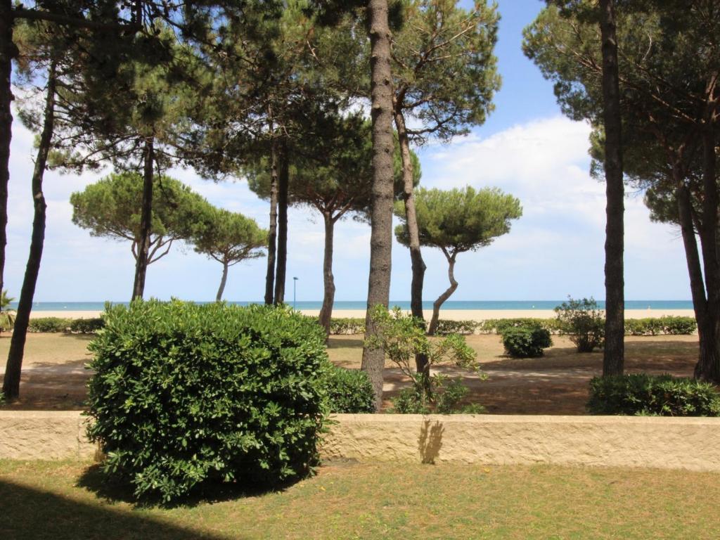 Appartement Appartement Argelès-sur-Mer, 2 pièces, 6 personnes - FR-1-309-343 64 Boulevard de la Mer Résidence le Belvédère Appt n° RDC 66700 Argelès-sur-Mer