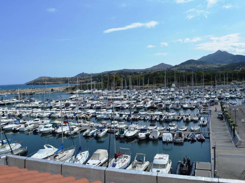 Appartement Argelès-sur-Mer, 4 pièces, 4 personnes - FR-1-225-655 Quai Vasco de Gama- résidence Villégiales quai d'h 3 ème étage Appartement 303, 66700 Argelès-sur-Mer