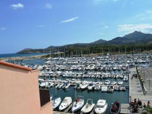 Appartement Argelès-sur-Mer, 4 pièces, 4 personnes - FR-1-225-655