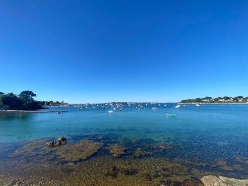 Appartement Arzon, 1 pièce, 4 personnes - FR-1-639-84