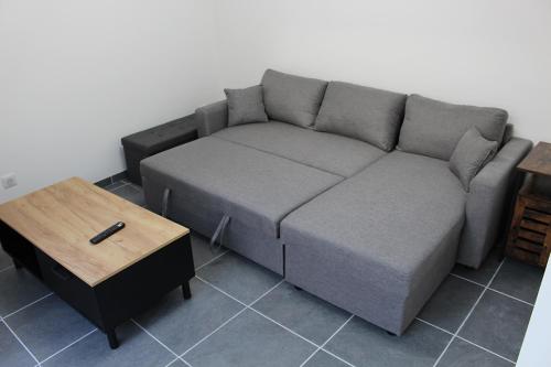 Appartement atypique avec véranda en centre ville