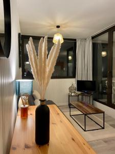 Appartement au cœur de la station de Super-Besse