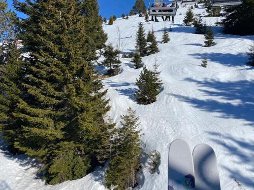 Appartement au cœur de station de ski : La Mongie