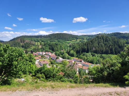 Appartement au centre du tholy pour 5 personnes maximum