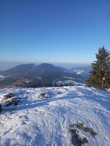 Appartement au coeur de la vallée verte