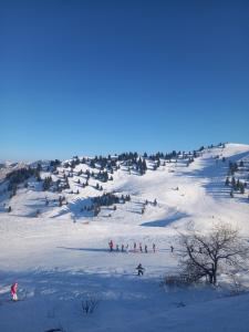 Appartement au coeur de la vallée verte
