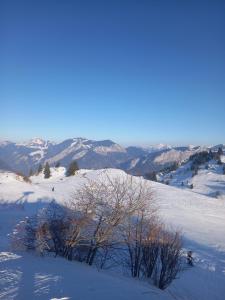 Appartement au coeur de la vallée verte
