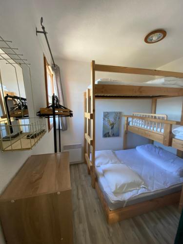 Appartement aux pieds des pistes !