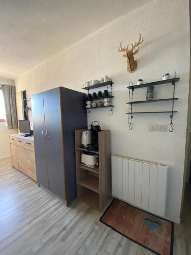 Appartement aux pieds des pistes !