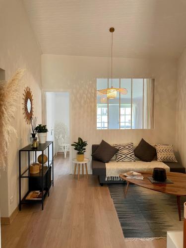 Appartement aux pieds du Palais des Papes.