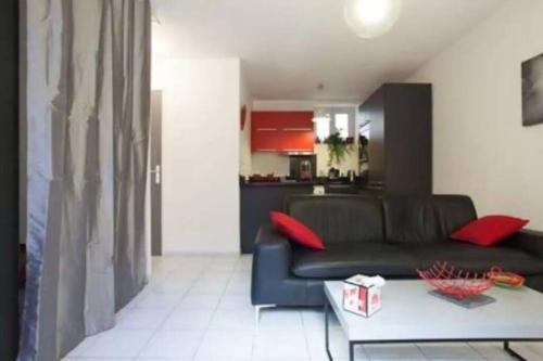 Appartement Avec Grande Terrasse à Cannes