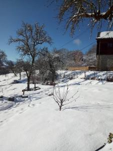Appartement avec jardin et spa dans corps de ferme