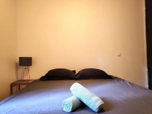 Appartement avec Jardin Proche Centre Ville