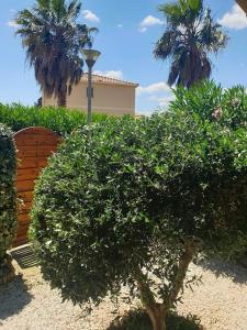 Appartement avec jardin proche de la mer