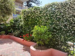 Appartement avec jardin