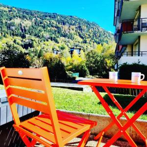 Appartement avec piscine & jardin pied de la télécabine