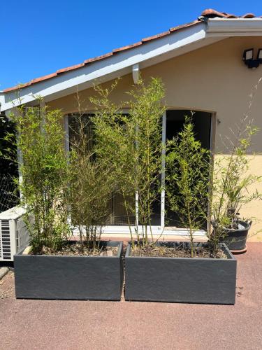 Appartement avec terrasse à Capbreton