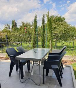 Appartement Appartement avec terrasse, jardin et double garage Rez de jardin 43 Chemin de la Niederau 68000 Colmar Alsace